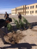 کاشت حدود 200نهال مثمر وغیر مثمر در محوطه آموزشکده